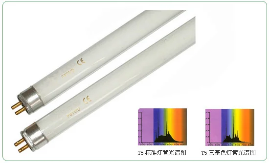T5-A Flourescent Lamps