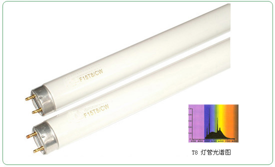 T8 Flourescent Lamps