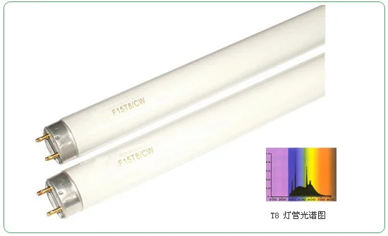 T8 Flourescent Lamps