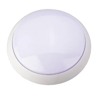 ER-CL0829 Ceiling Lamps