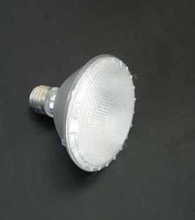 SA-PAR30 LED Spotlight