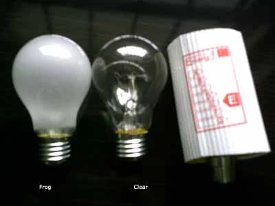 Incandescent Lamp Incandescent Bulb photo 3