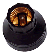 Lampholder