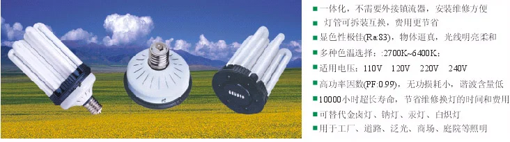 6U,8U,9U,12U Energy-saving Lamp Energy-saving Lamp photo 5
