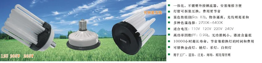 6U,8U,9U,12U Energy-saving Lamp Energy-saving Lamp photo 6